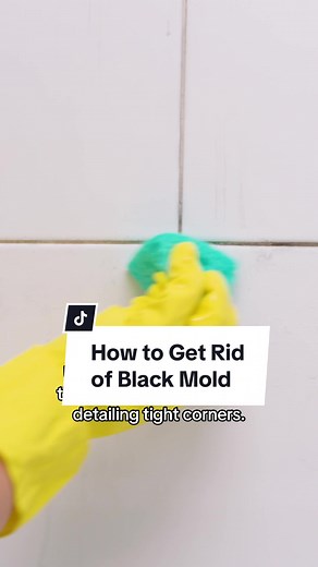 Effective Mold Cleaning Hacks for Black Mold Removal
