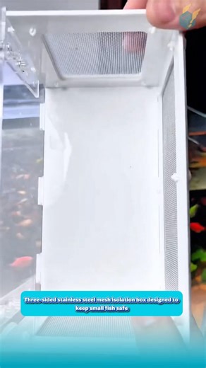 Three-sided stainless steel mesh isolation box designed to keep small fish safe