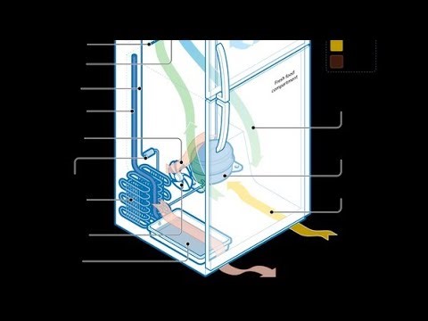 Hidden genius mechanism in refrigerator🗄How a Refrigerator Works: A Cool Breakdown