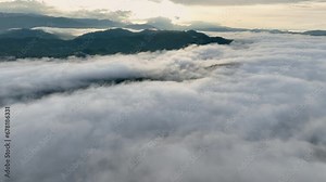 Sea of fog cover tropical forest in morningMist on tropical . Tropical forests can increase humidity in air and absorb carbon dioxide from the atmosphere through photosynthesis, and store carbon in tr