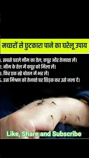मच्छरों से छुटकारा पाने का आसान घरेलू उपाय | Mosquito Repellent Home Remedy | Desi Nuskhe #shorts