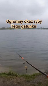Wielka Ryba tego gatunku | Wędkarstwo PL