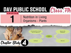 Chapter 1 | Nutrition in Living Org - Plants | Class 7 DAV Science | Chapter Study | (Part 4) 🔥🔥🔥