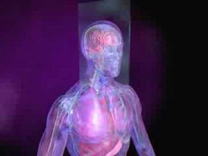 principe fonctionnement I.R.M