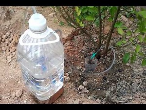 Siphon and Drip Irrigation System - Simple but Effective (SbE)
