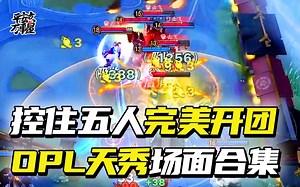 OPL最秀名场面合集！极致操作惊呆解说！【决战平安京】