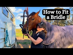 How to Fit a Bridle For The First Time | Horse Bridle Fitting Tutorial | Horse Saddlery Tutorial