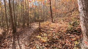 1.9K views | Upcountry South Carolina on Reels | Facebook