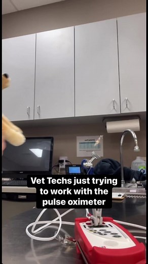36K views · 643 reactions | Why do I even bother! #pulseox #spo2 #watreallyhappensatthevet #sarahparsons #vetfluencer #vettechlife #ervettech #ervettechlife #ervetmed #vettech #vettechs #veterinary #veterinarians #erveterinarian #ervetlife #vetnurse #vetclinic #vethospital #vetmed #vet #vetstaff #workingatthevet #vettechhumor #vethumor #funnyvet #funnyvettech #vettechproblems | Sarah Parsons Licensed Vet Tech | Facebook