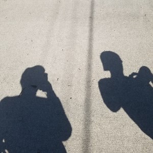 The Gemini Project Concert & Tour History  | Concert Archives