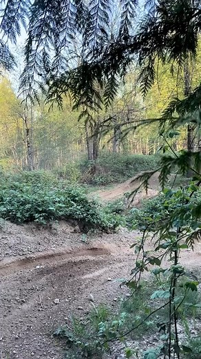 4.9K views · 172 reactions | The Yamaha YZ65 is definitely broken in now  so much fun wringing this thing out! What mods would you guys like to see done to this bike “ | carsonbrown910 | Facebook