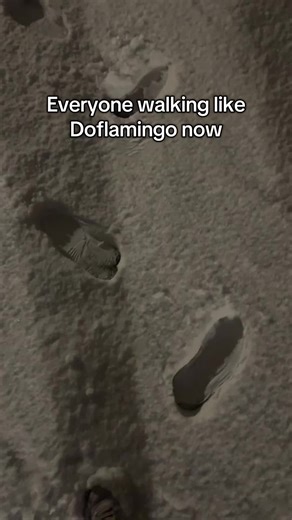 Doflamingo walk #onepiece #doflamingodonquixote #donquixote #onepiecelaughs #anitok