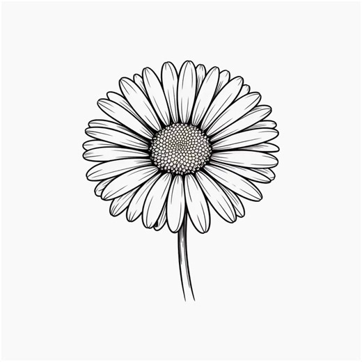 Daisy SVG Bundle: Flower Outline, PNG Clipart (digital Download) - Etsy