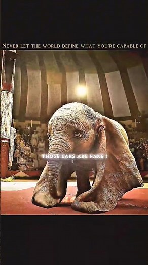 The Moment a Mistreated Soul Found Its Wings 🐘✨ #shorts