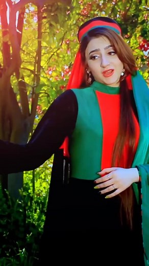 afghan songs on TikTok