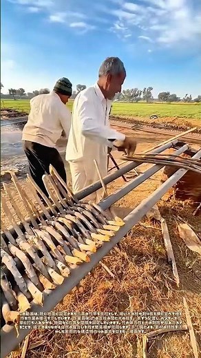 竹の骨組みに木の皮膚：手作り柵が刻む、規則的なリズム