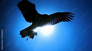 A raven in silhouette, captured mid-flight against a striking blue sky during dusk. The bird's wings are fully spread, creating a dramatic and mysterious mood typical of evening hours. Stock Video