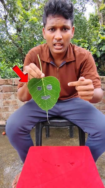 Turning Leaves Into Ghost Window Sticker💀 #shorts #shortvideo