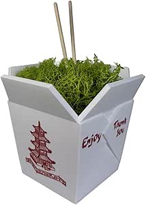 Chinese Take-Out Box Planter 3D Printed Flower Pots for Indoor Plants Unique Gifts for Women Party Favor Food Containers (Moss Not Included)