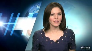 Newtown Gunman Accumulated Arsenal of Weapons