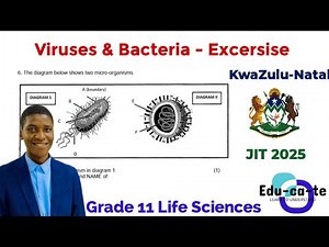 Viruses & Bacteria - Practice Activity 2025 (Grade 11 Life Sciences)