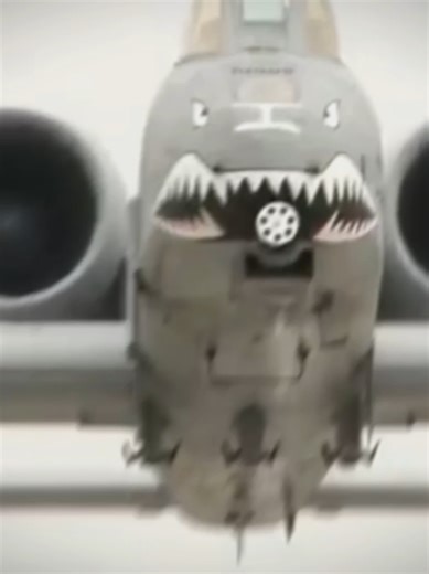 Exploring the A-10 Thunderbolt II: The Gun with Wings