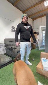 722K views · 4.6K reactions | Stop Doing This  #dogs #dogtraining #viral | Southend Dog Training | Facebook