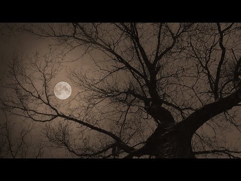 月光 - 鬼束ちひろ（フル）