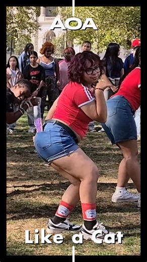 TheHallyuverse on Instagram: "Love this fancam of "Like a Cat" by AOA from the Kpop Random Play Dance in Philly hosted by @phillytiny! Help tag the dancer! . . #kpopdance #kpoprandomdance #kpopinpublic #kpopcover #kpopcoverdance #aoalikeacat"