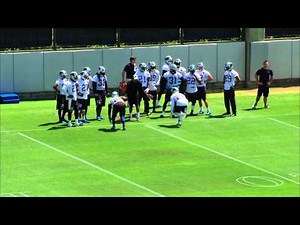 Carolina Panthers shuffle, pedal and run drill: Defensive backs