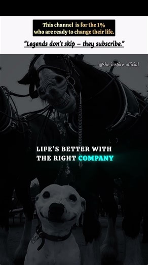 YOU JUST NEED BETTER COMPANY #motivation #inspiration #success #quotes #shorts