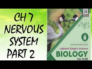 CH 7| NERVOUS SYSTEM| PART 2 |BIOLOGY|CLASS 8| ICSE BOARD|