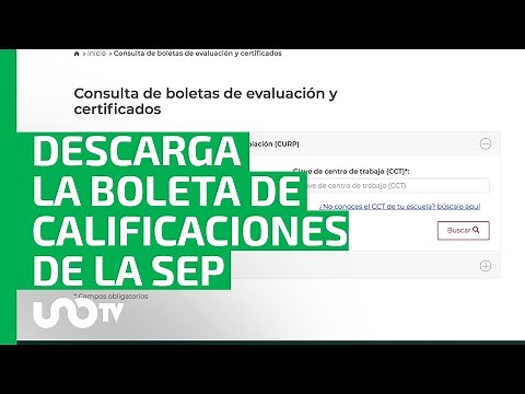 Ciclo escolar 2023-2024: ¿cómo descargar la boleta de calificaciones de la SEP?