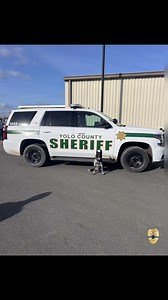 Great work Yolo County! #firstresponders #code9 #leadership #training #youarenotalone #wellness #mentalhealth #lawenforcement | The Code 9 Project