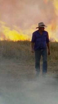 Burning Para Grass | #travel #australia