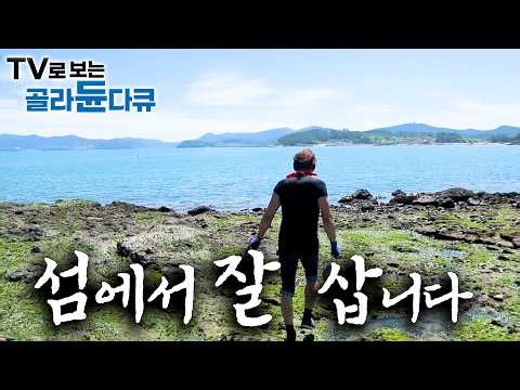 🌊바다로 둘러싸인 낙원에서 잘만 삽니다. 자연의 맛을 아는 섬마을 사람들의 밥상부터 일상까지 🌊 1시간 몰아보기｜한국기행｜#tv로보는골라듄다큐