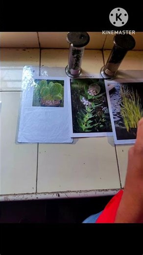 biology 🧫 practical 🧪 Lab