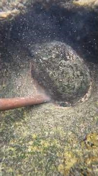 the long process of extracting gold in underwater stone mortars #investment