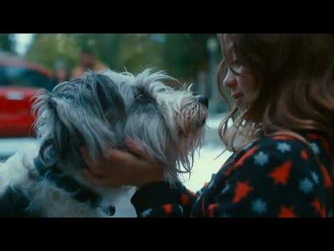 Toyota 'Let's spread joy this holiday' Commercial.