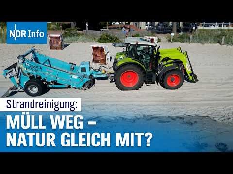 Zu saubere Strände an der Ostsee: Warum Naturschützer vor Strandreinigung warnen | NDR Info