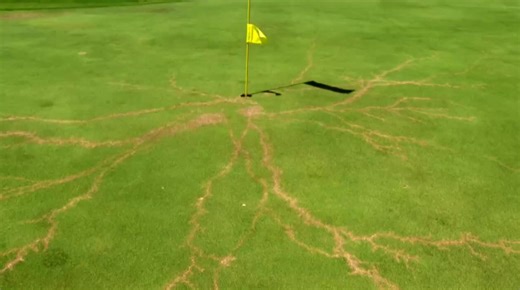 Lightning strikes green at Hole 3 on Gator Trace Golf Course