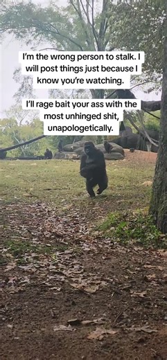 𓃥WᄃW𓃥🐝🐝 (@wcw01_)’s videos with original sound - 𓃥WᄃW𓃥🐝🐝