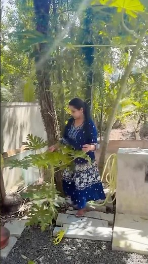 The Cutest Dress I’ve Ever Worn