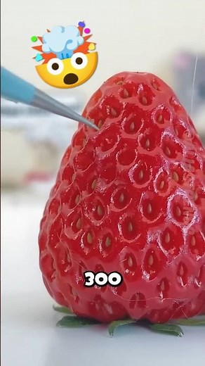 Top 5 Fruits with the Most Seeds – Nature’s Tiny Power Packs!