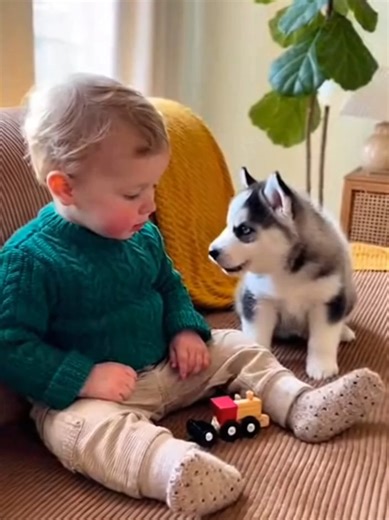 Howling Duo! Baby Learns to Talk