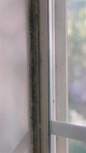 93 reactions · 12 shares | Banish Mold & Mildew with Zep! 裂 Watch as our powerful formula transforms your space. Say hello to a cleaner, healthier home! You can find it at your nearest The Home Depot #ZepClean #MoldFreeLiving #ZepLevelClean #clean #cleaning | Zep | Facebook