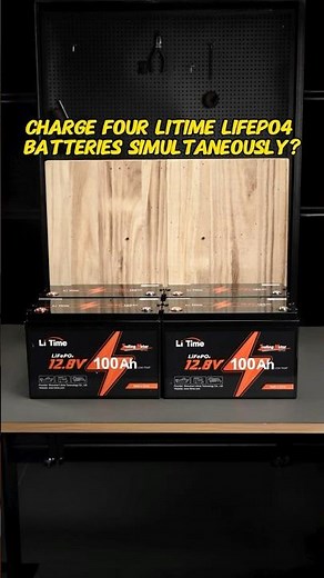 LiTime Lab #058 - How to Charge 4 12V LiFePO4 Batteries Simultaneously | LiTime 4-Bank Charger Guide