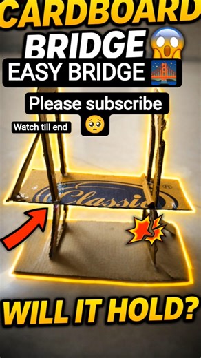 😱”“I Made a Bridge From Cardboard… Will It Break? 💥”