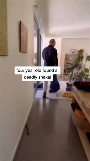 132K views · 758 reactions | SMART KID ALERT! GOT PARENT TO HANDLE VENOMOUS SNAKE  #QUEENSLAND When a venomous snake showed up, this clever kid didn’t panic—he got his parent to safely handle the situation!  #SnakeSafety #WildlifeRescue #Venomous #Snakes #Queensland #SnakeSafety #WildlifeRescue #AnimalRescue #DangerousAnimals #SmartKids #SnakeEncounter #TrendingNow | Wildlife With Stuart Mckenzie | Facebook