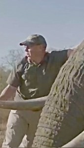 24M views · 4.1K reactions | Solid science is the only way to achieve sustainable conservation - our goal is to make a difference one precious animal at a time!  | Ivan Carter | Facebook